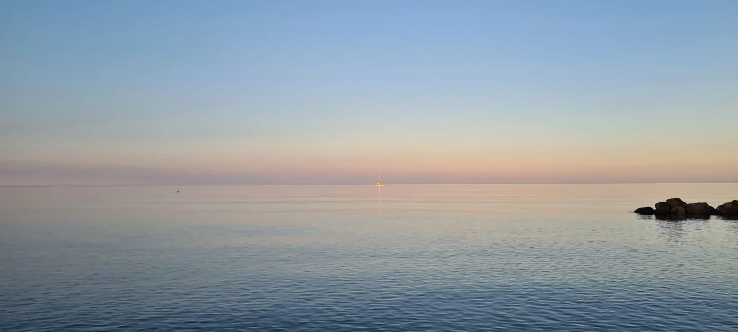 Meer Michael Pavlicek