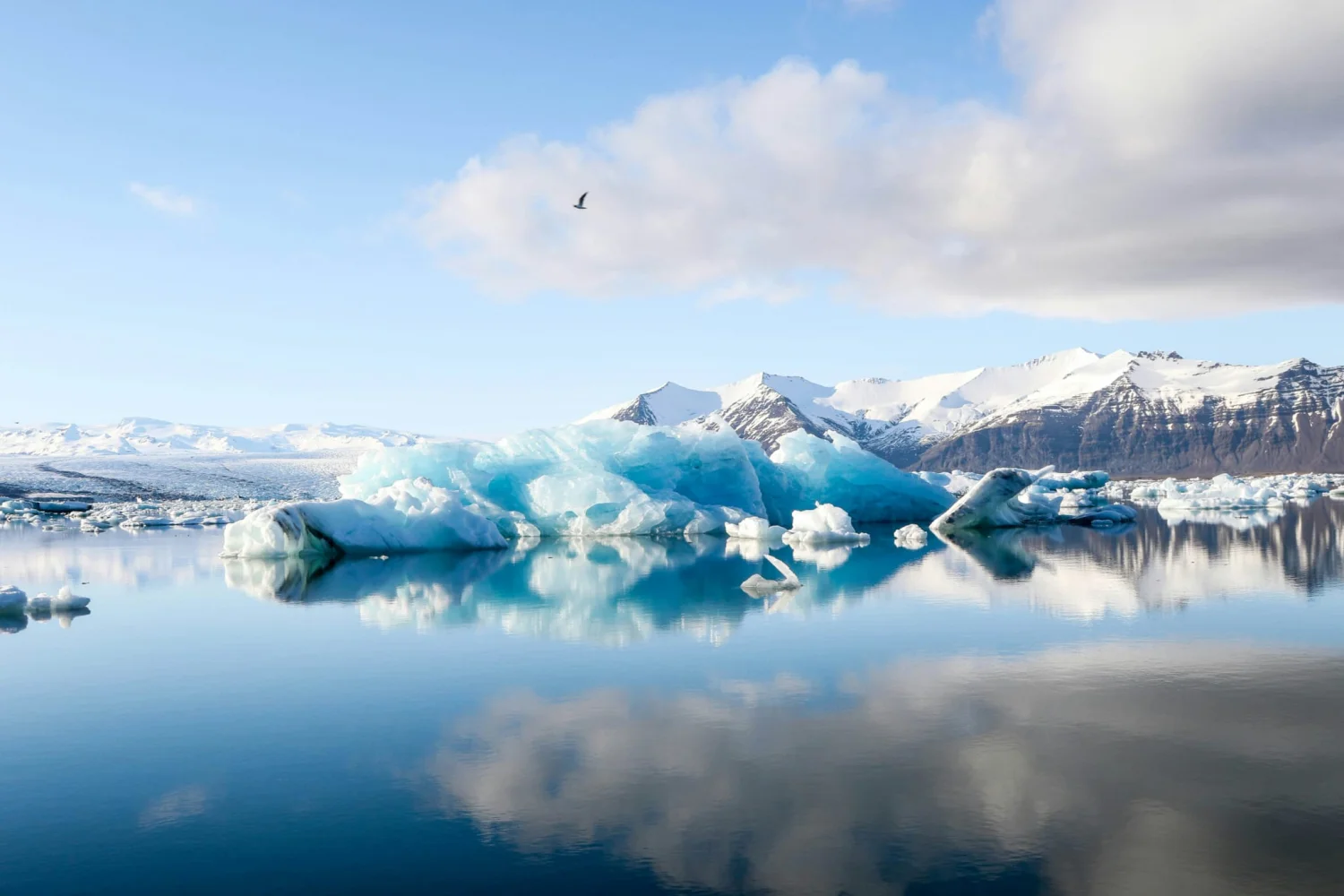 Gletscher Michael Pavlicek